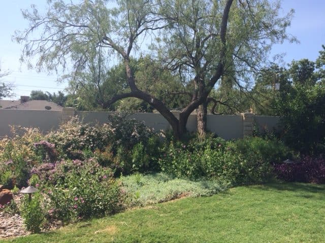 UUCOM Garden
